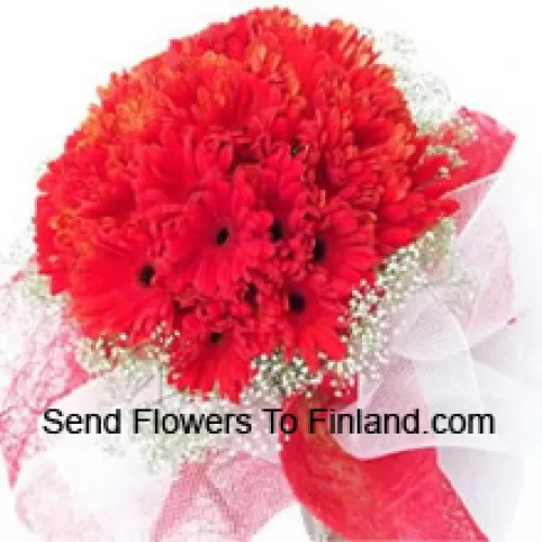 一束美丽的37朵红色非洲菊，配以时令的填充物