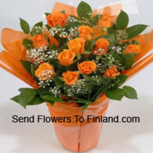 19 Cute Orange Roses