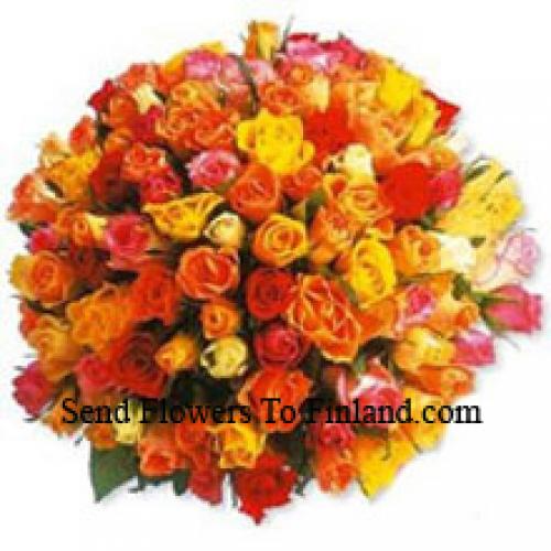 101 Lovely Mixed Roses