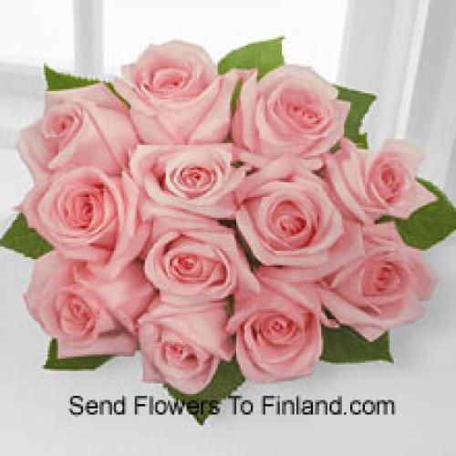 11 Beautiful Pink Roses